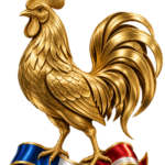 Federação Francesa de Futebol
